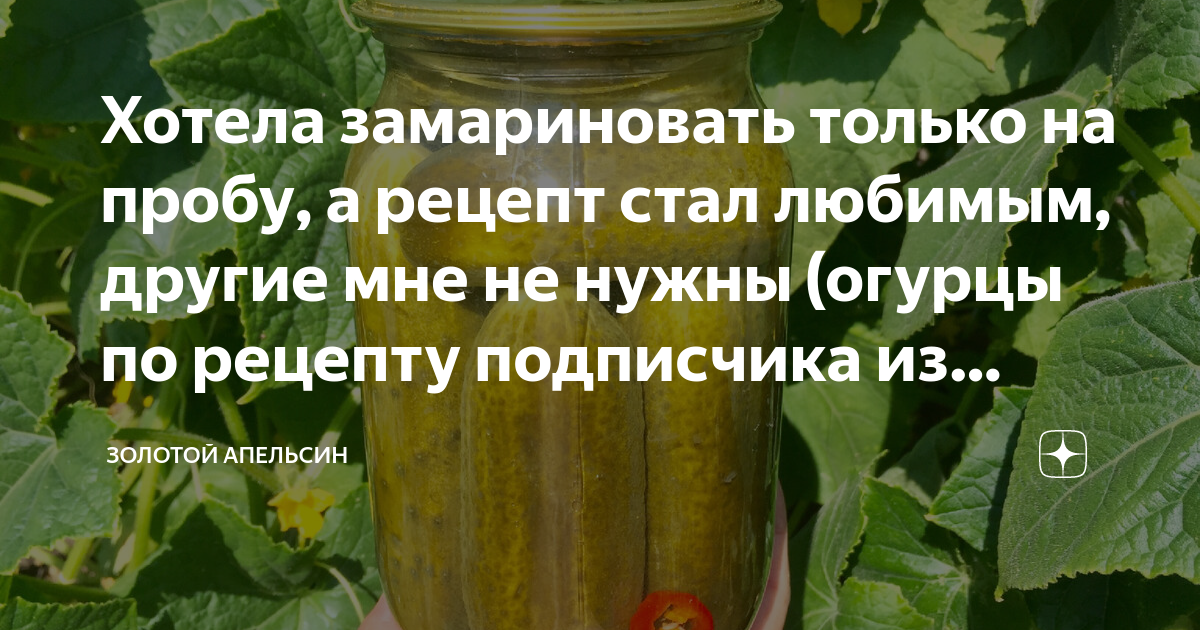 Удобрение для огурцов и помидоров. Продление жизни огурца. Подкормка огурцов. Подкормка огурцов в июне.