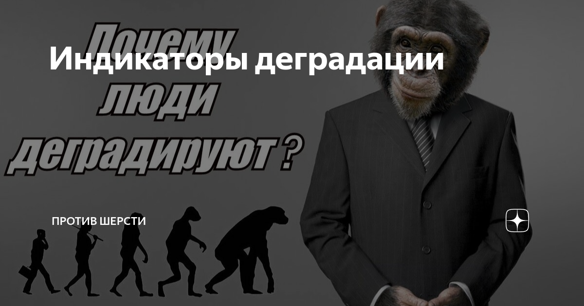 Деградация россии. Одиночные пикеты екатеринбург 2022. Политическая элита гарантии против деградации. Мемы про деградацию. Книги против деградации.