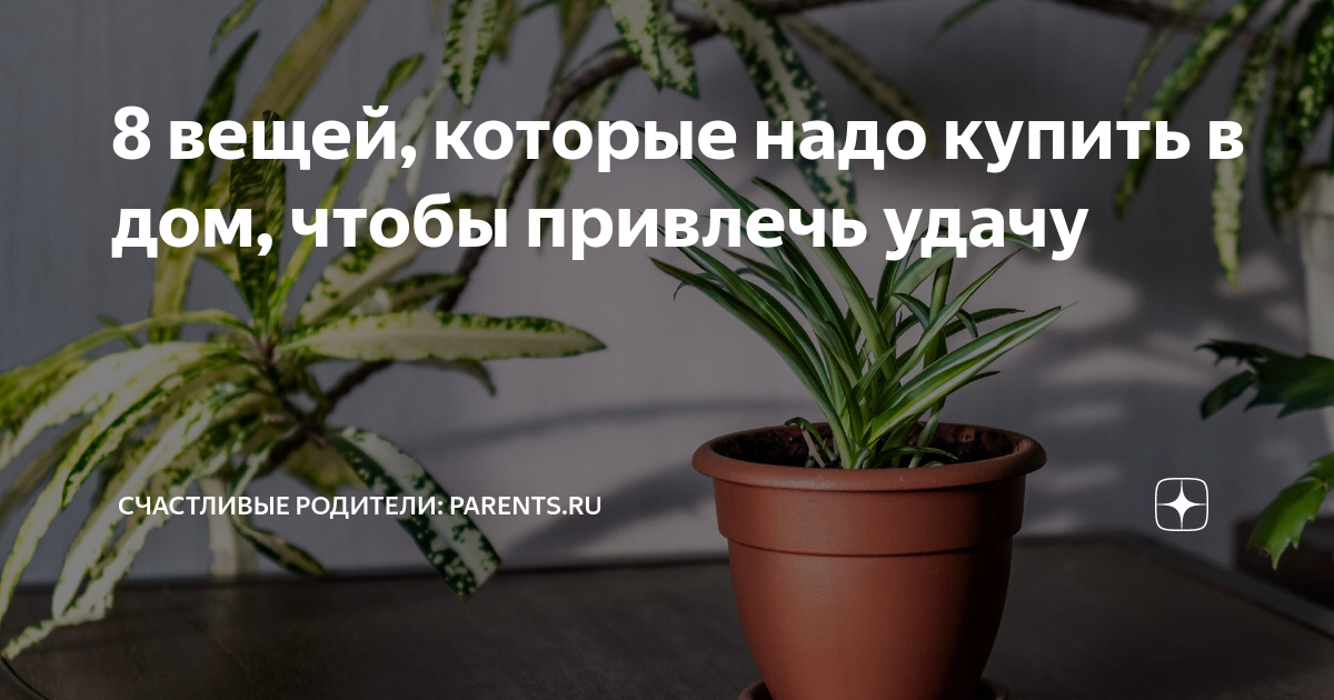 что лучше подарить или продать дом