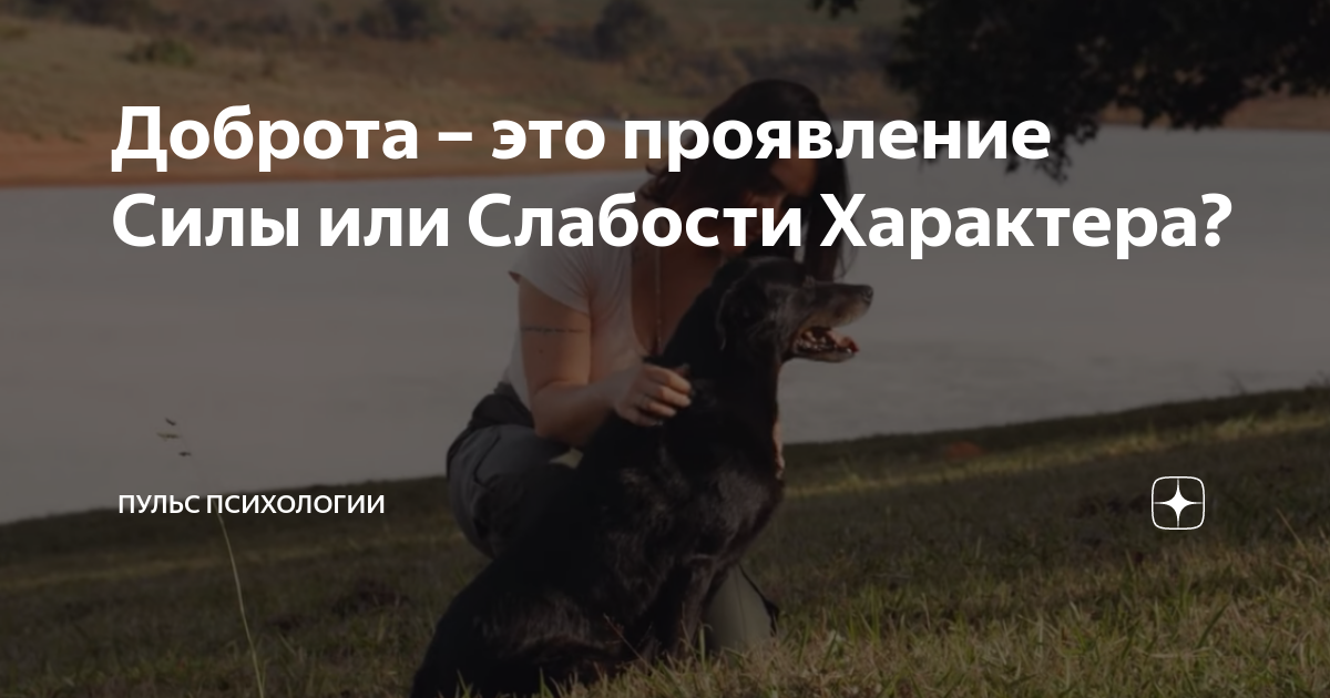 Проявление силы или слабости