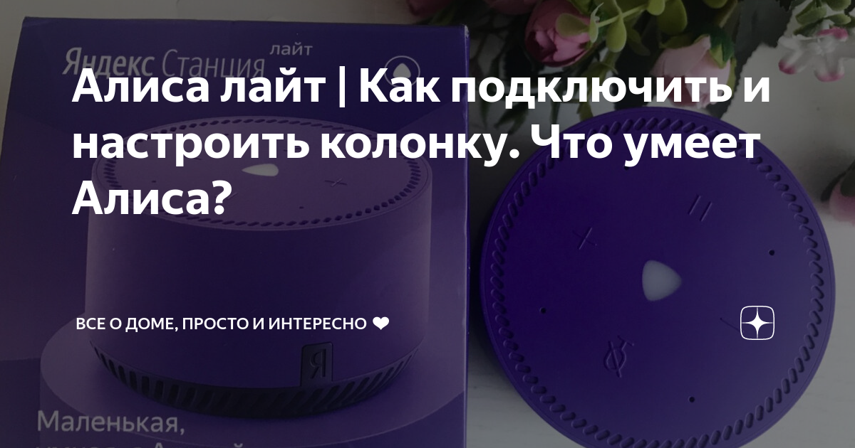 Как подключить алису lite Производитель союз фото