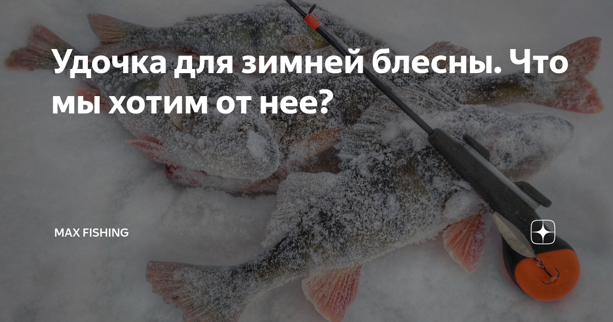 Удочка для зимней блесны. Что мы хотим от нее? | Max Fishing | Дзен