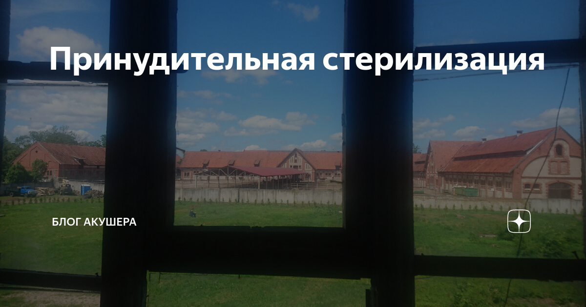 Принудительная стерилизация | Блог акушера | Дзен