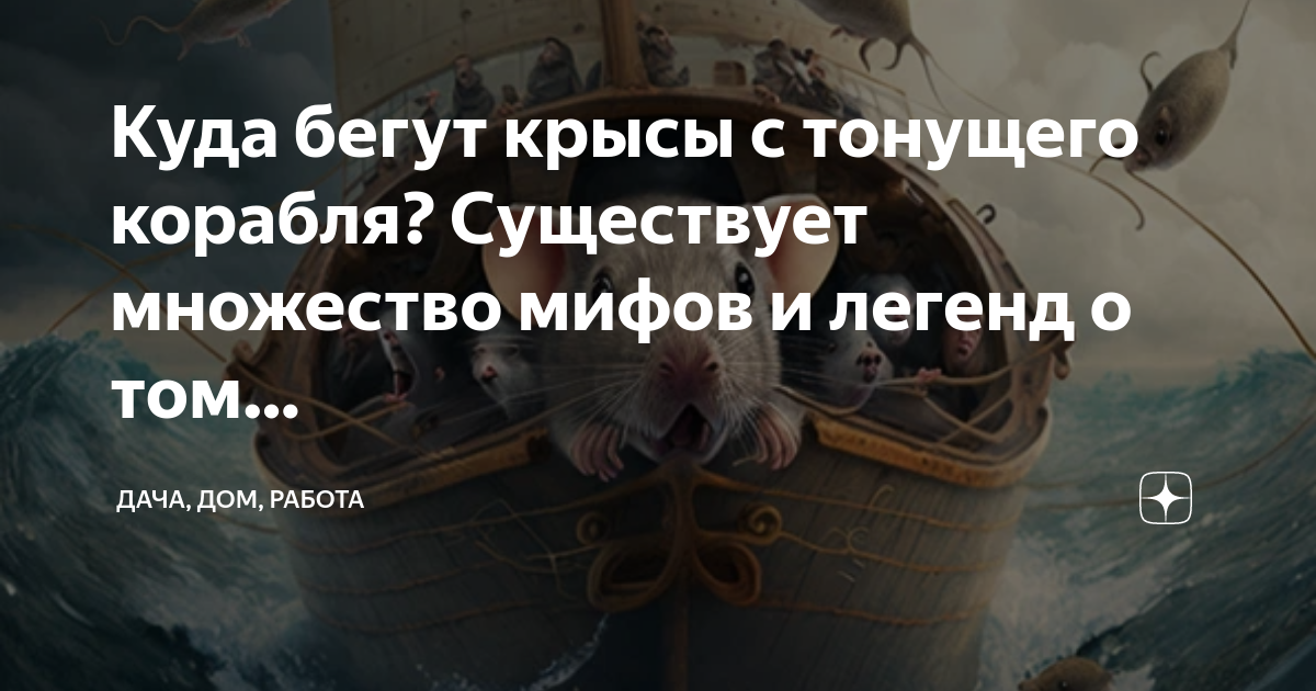 Лента по интересам - Статусы и цитаты - 2117129 - Tabor.ru