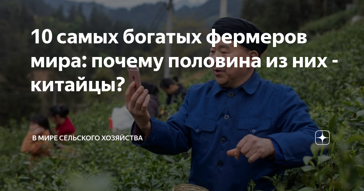 Самые богатые фермеры. Самый богатый фермер в мире. богатые фермеры китая. богатый колхозник. богатый фермер замуж.