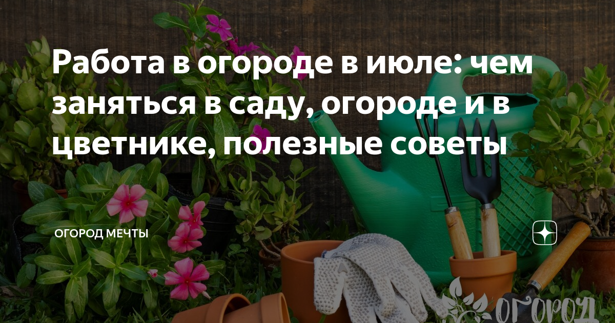 Работы в саду и огороде и цветнике в июле