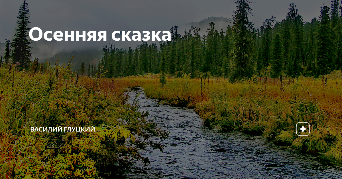 Тайга улаганский район республика алтай. Сибирь тайга. Тайга встречай. Лесная река. Лесныемерзлотно-таежны почвы срз.