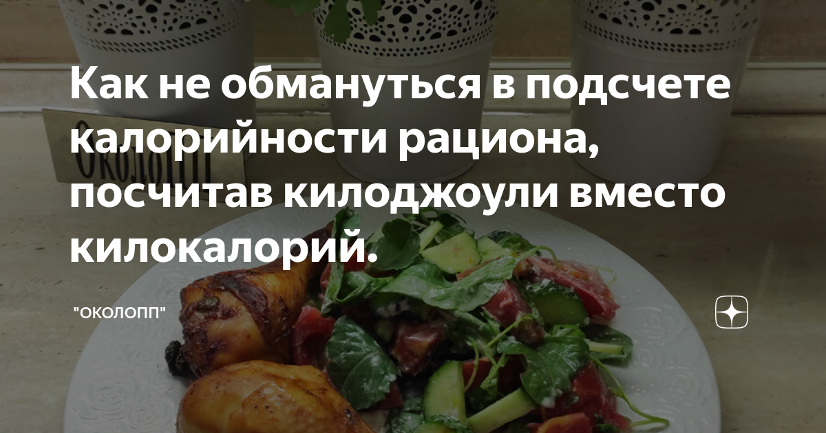 Как не обмануться в подсчете калорийности рациона, посчитав килоджоули ...