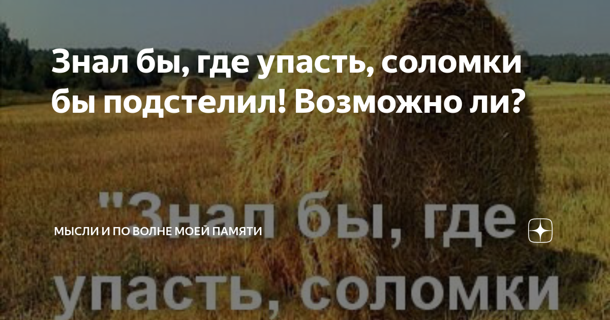 Знать бы где упасть соломки. Знать бы где упасть соломки