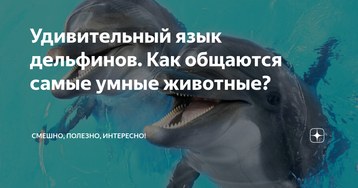 Чехова. Десквамитозный голосит. Биография чехова детство. Его язык удивителен. Его язык удивителен.