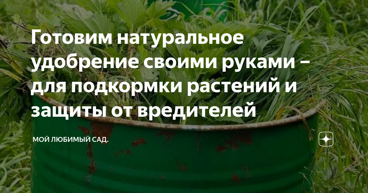 Как приготовить удобрение своими руками: собирайте то, что обычно отправляете в мусорку