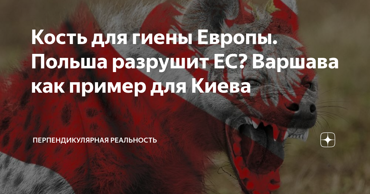 Польша гиена европы картинки