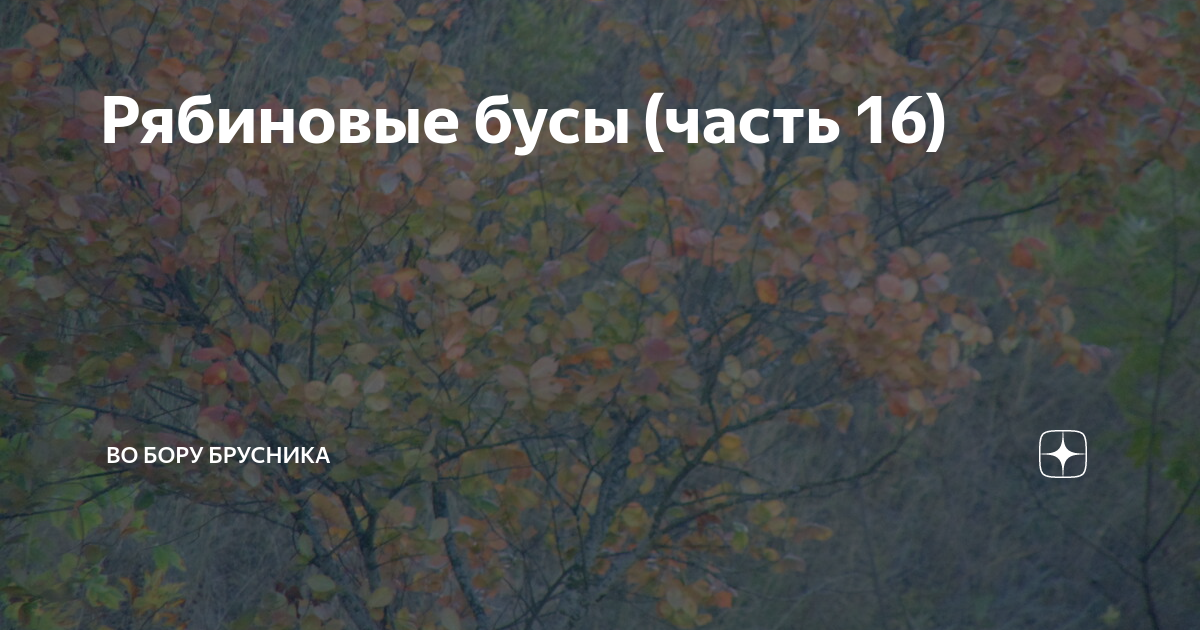 Во бору брусника осколки души глава 16