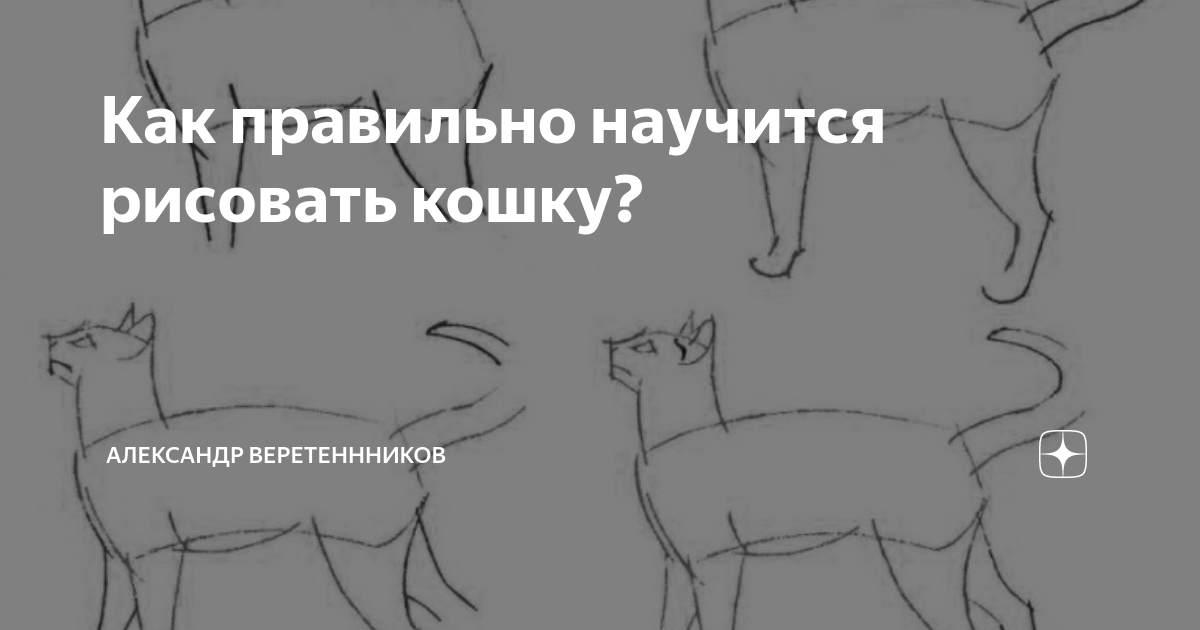 Как нарисовать кошку и кота карандашом поэтапно | для начинающих, рисунок