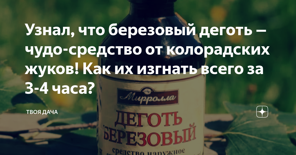 Деготь берестовый 50 мл: купить за ₽ в интернет-магазине Lukoshkoru