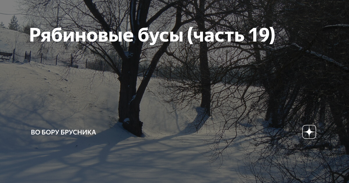 Канал во бору брусника на дзен читать. Во Бору брусника дзен читать рассказ.