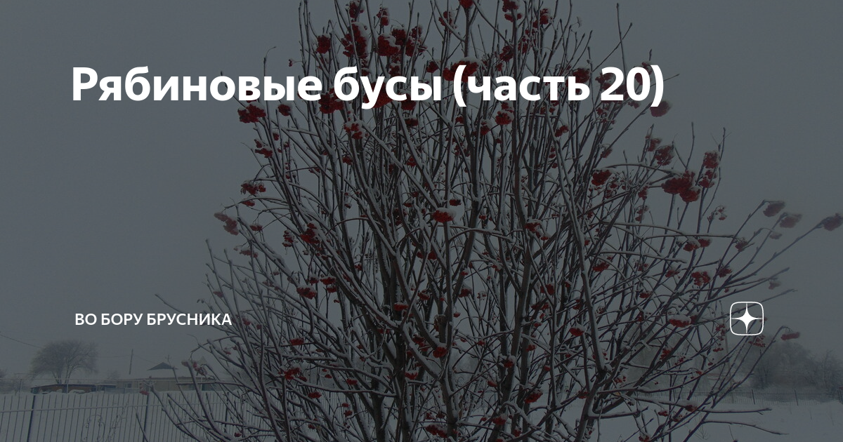 Во бору калина