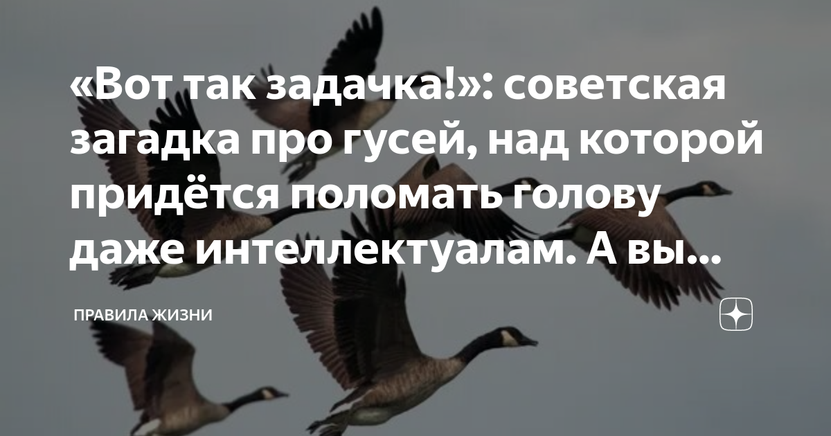 Загадки в воде купался сухим остался. Загадки в воде купался сухим остался. Загадки в воде купался сухим остался. Купался купался сухим остался. Отгадка на загадку сверкает мигает огненные стрелы пускает.