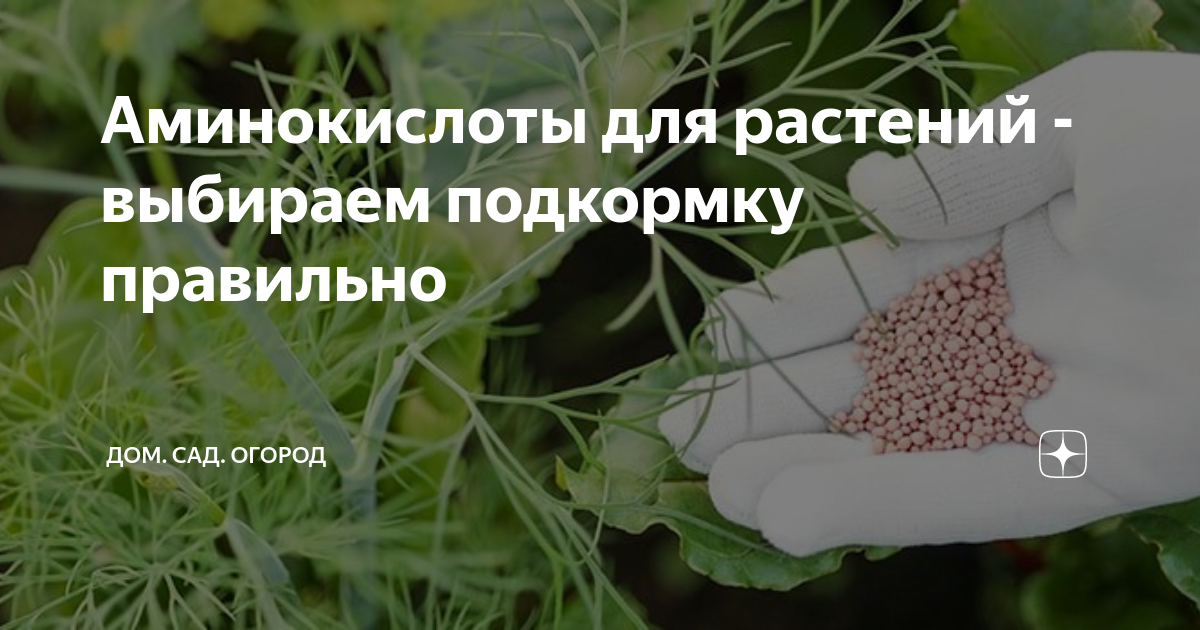 аминокислоты для цветов в домашних условиях