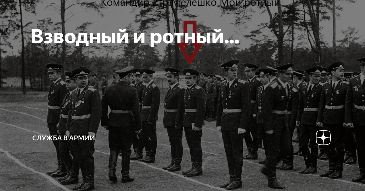 Взводный и ротный... | Армия и Флот | Дзен