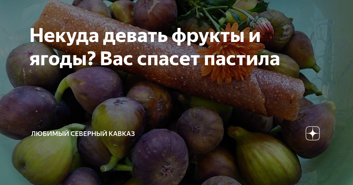 Ягоды Кавказа: сладостное волшебство гор - Турклуб Восход