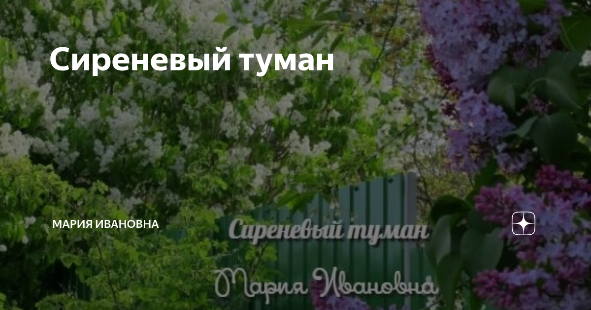 Сиреневый туман виноград фото