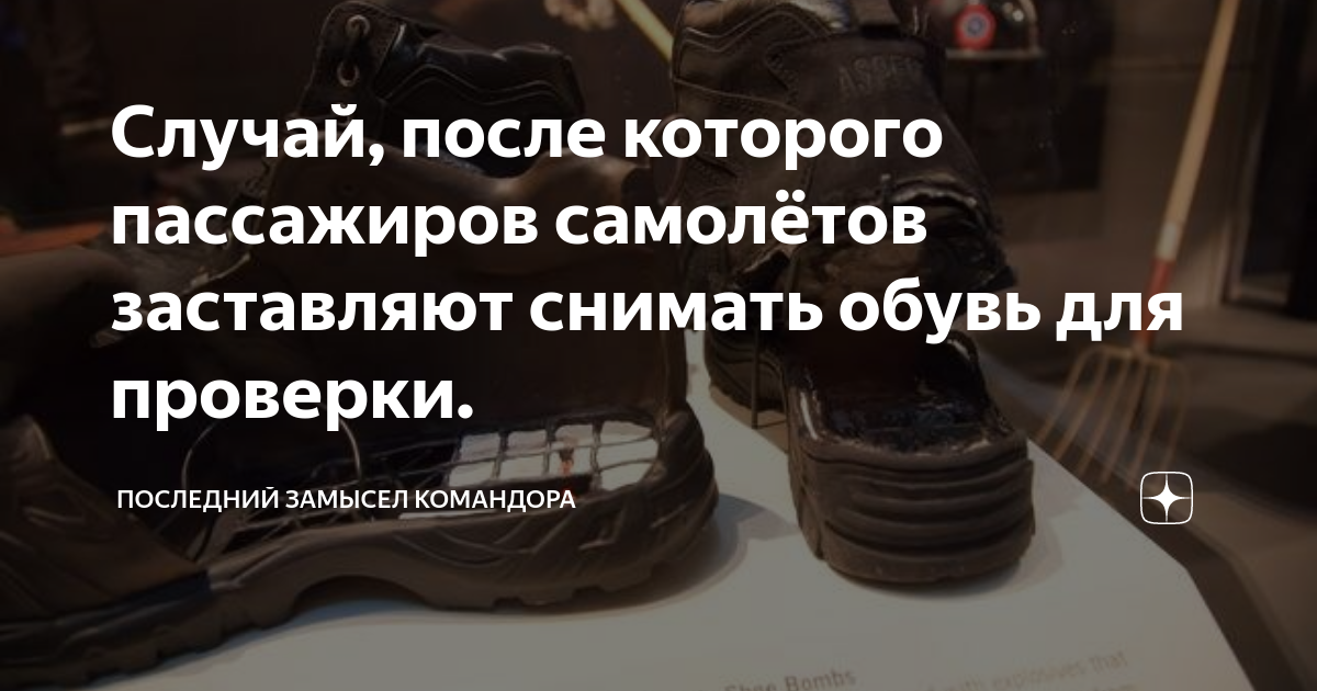 Последний замысел командора дзен читать