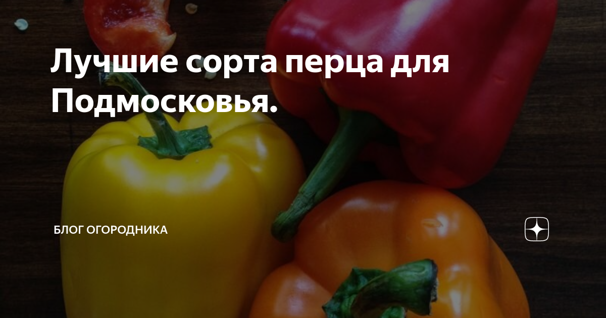 Лучшие сорта перца для Подмосковья. | Блог Огородника | Дзен