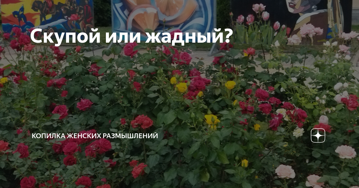 Скупой или жадный? | Копилка женских размышлений | Дзен