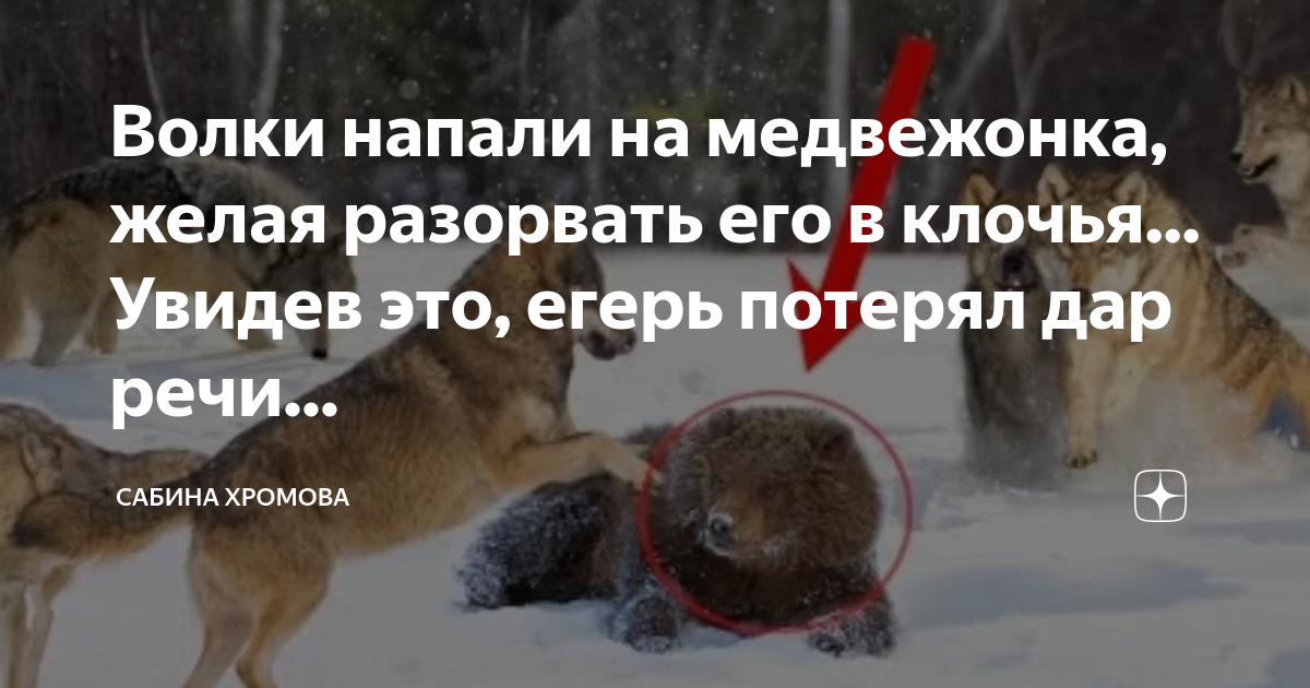 освобождение от эмоций. высказывания про разрыв отношений между мужчиной и женщиной. желать разорвать. нам с тобой текст. картина развод.