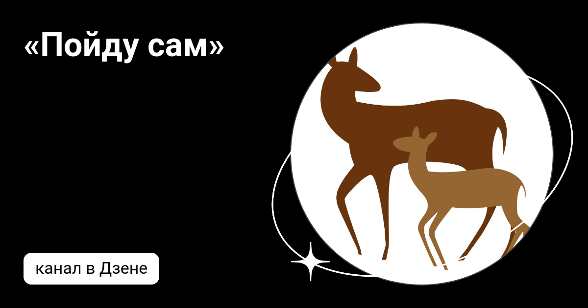 Сам дзен. Японский садик настольный. Сам дзен. Сам дзен. Спокойствие и гармония.