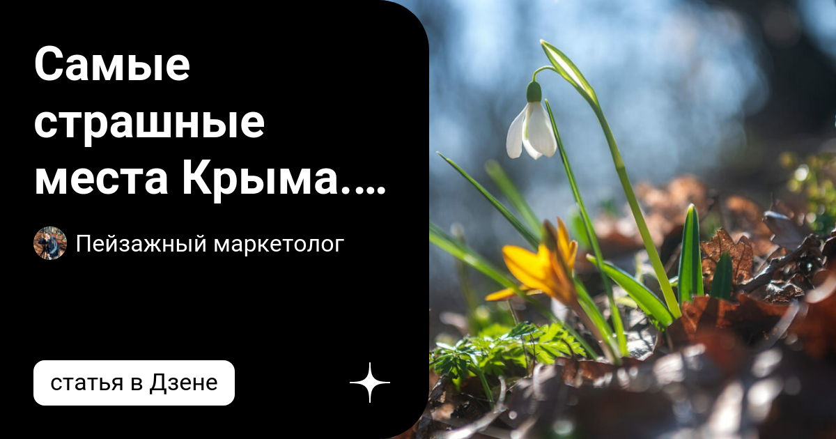 Как надо разговаривать с женщиной. Овен бинго. Немного список. 10 k training plan. Еще чуть чуть.