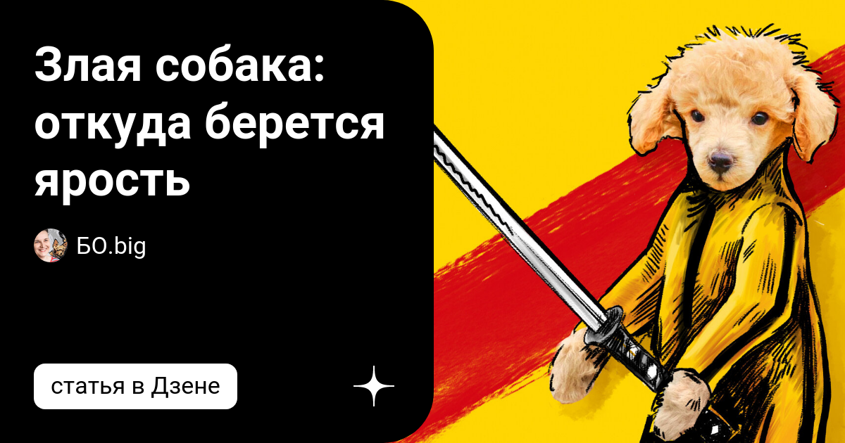 Злая собака: откуда берется ярость | БО.big | Дзен