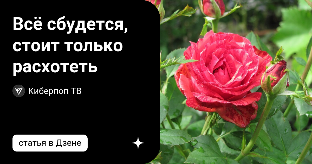 Все сбудется стоит только расхотеть