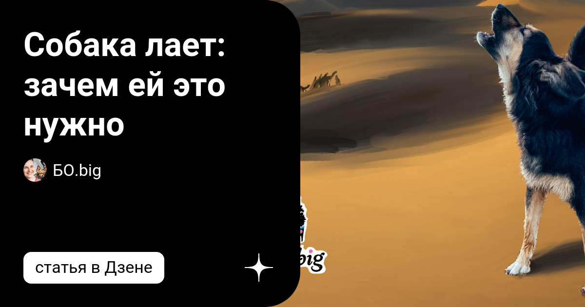 Душа волка. Душа волка цитаты. Время волка. Картинки с волками о душевной боли.