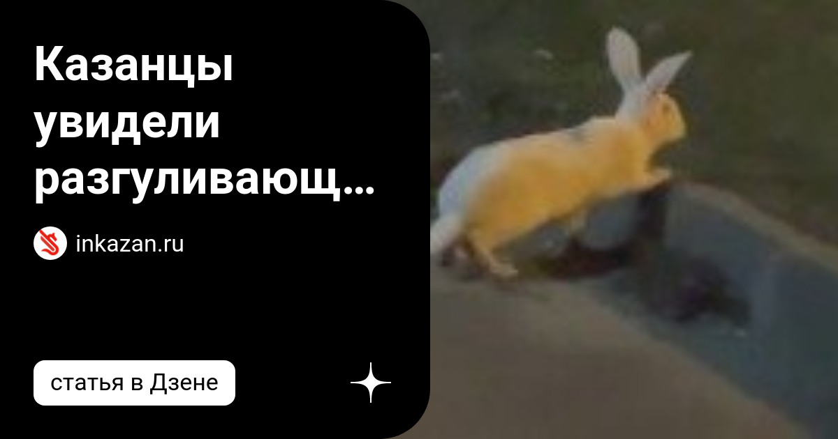 Уникальное явление в казанском зоопарке: появился «Гигантский кролик» на свет