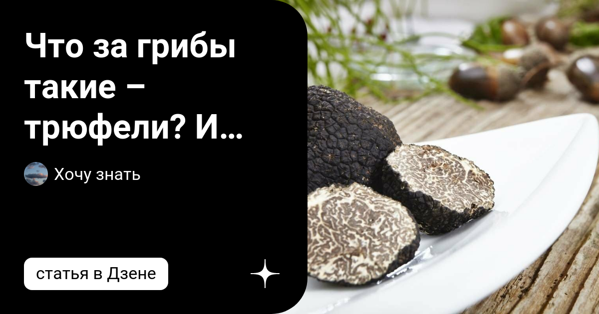 Что нужно знать про Трюфель, полезные свойства и рецепты?! | Все об устрицах | Дзен