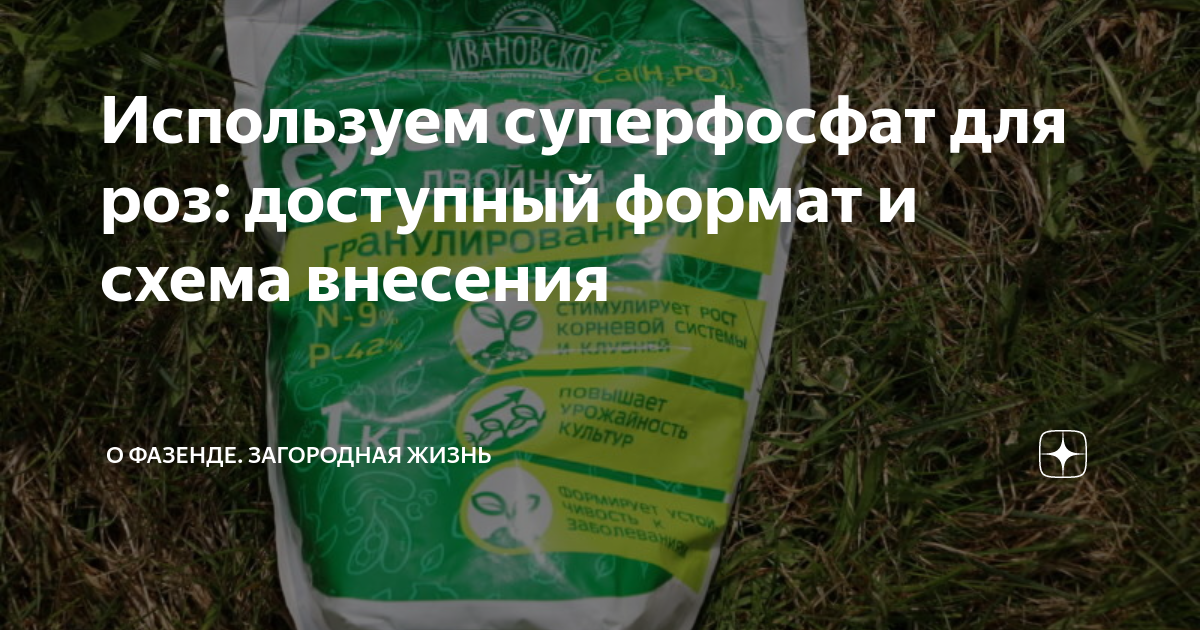 Используем суперфосфат для роз: доступный формат и схема внесения | О ...