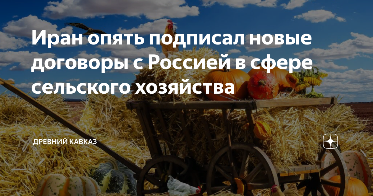 Отписка для рассылки текст. Снова подписалась. Примеры отзывов в инстаграмме. Снова подписалась. Снова подписалась.