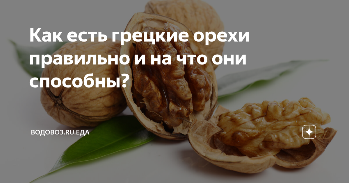 Врач перечислил самые полезные орехи для мужчин: 08 октября | - новости на Tengri Life