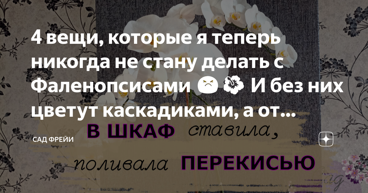 Я воротился домой но не в душную комнату а в сад и с наслаждением