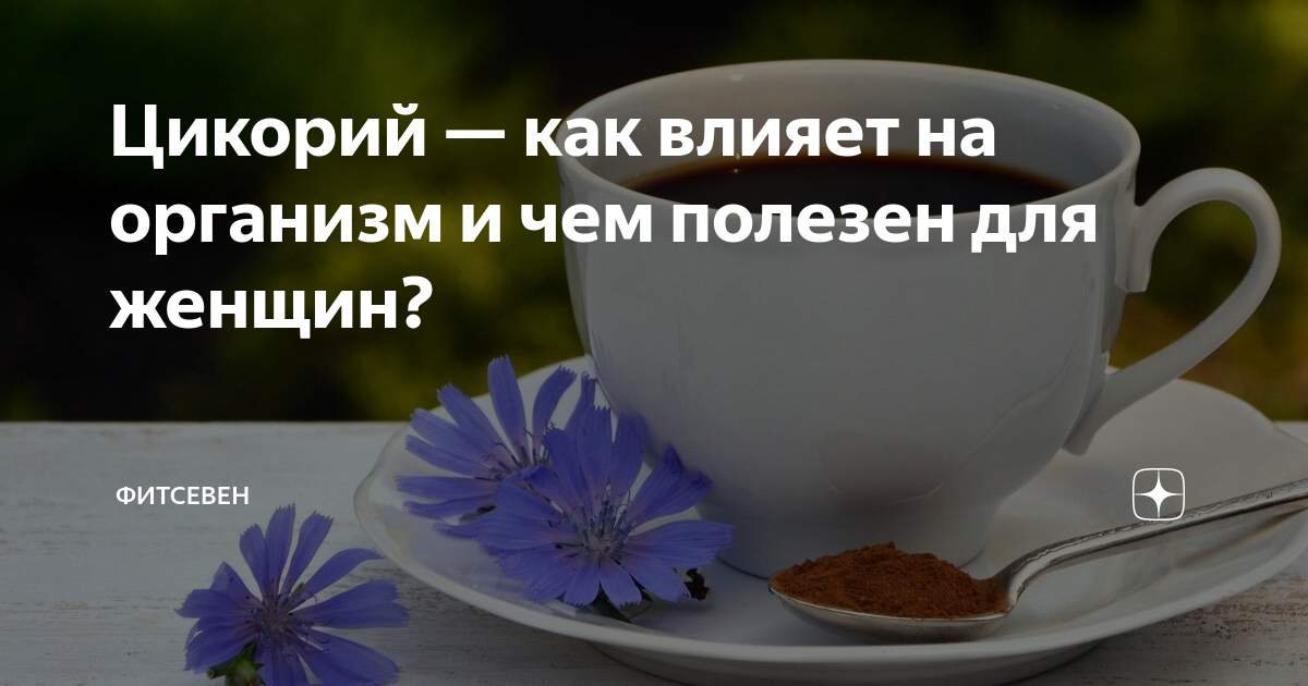 Цикорий и давление как влияет. Напиток из цикория. Цикорий. Цикорий заварка. Цикорий кофе.