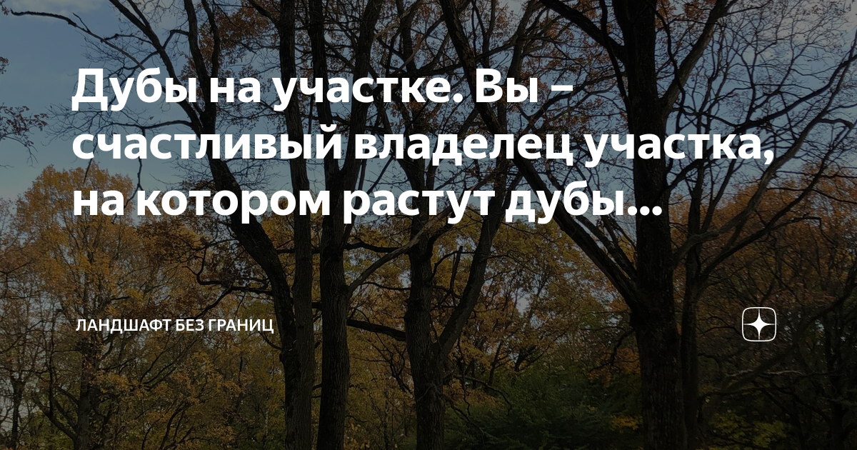 Дуб у саду: всі за і проти