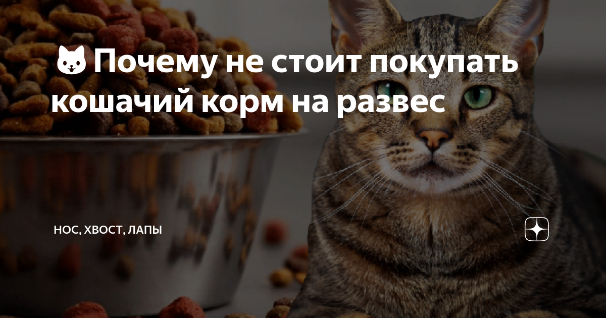 🐱Почему не стоит покупать кошачий корм на развес | Нос, хвост, лапы | Дзен