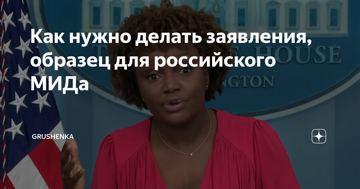 Как нужно делать заявления, образец для российского МИДа | Grushenka | Дзен