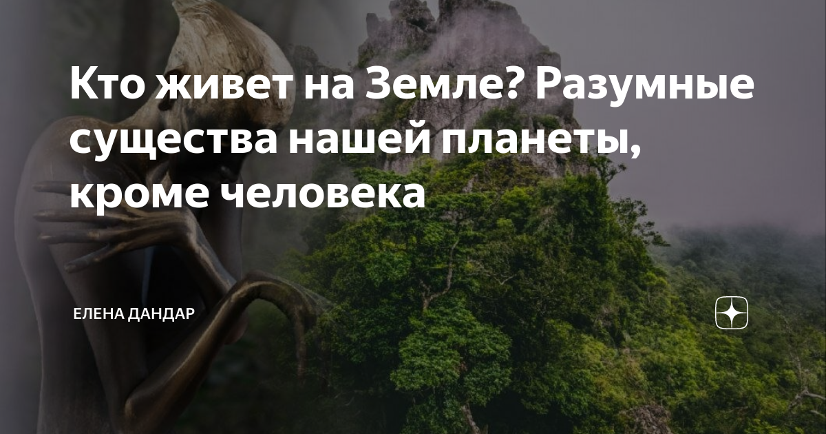 Кто живет на Земле? Разумные существа нашей планеты, кроме человека ...