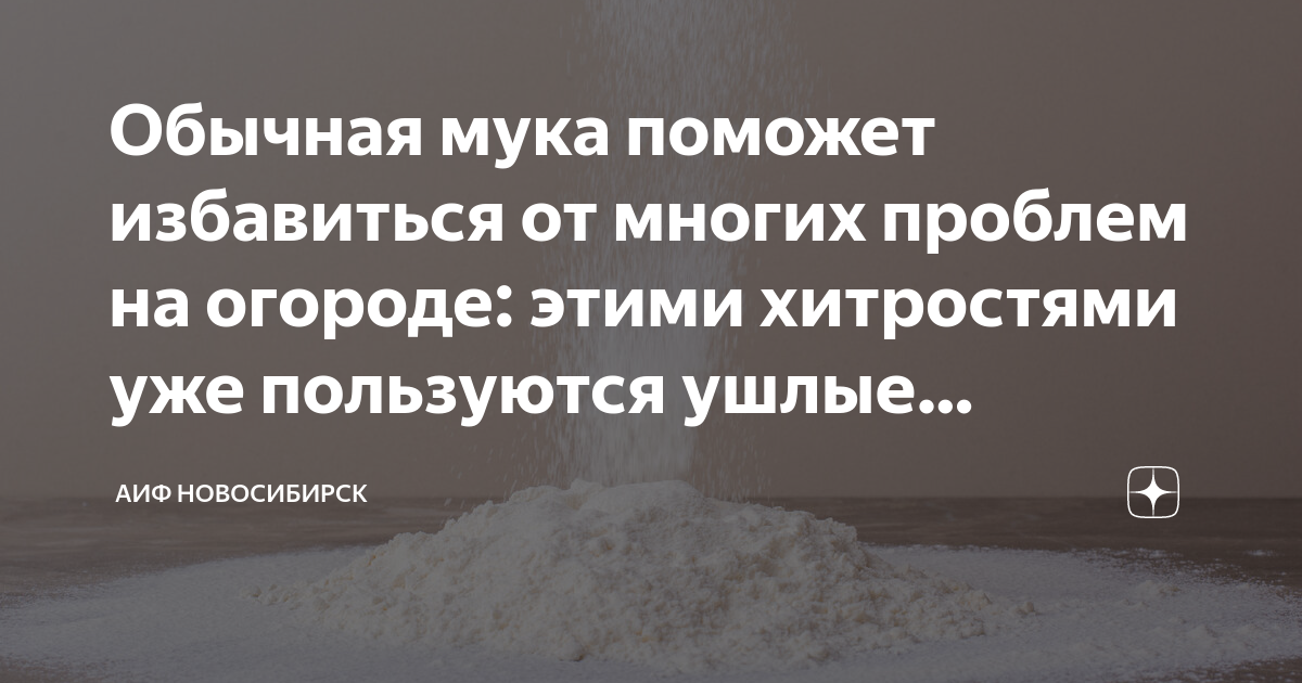 Обычная мука поможет избавиться от многих проблем на огороде: этими ...