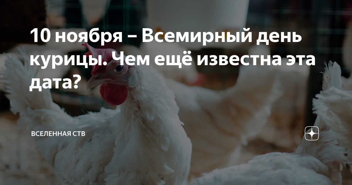 Международный день кур. Всемирный день курицы 10 ноября. 12 ноября день курицы. Всемирный день курицы. Куриный праздник.