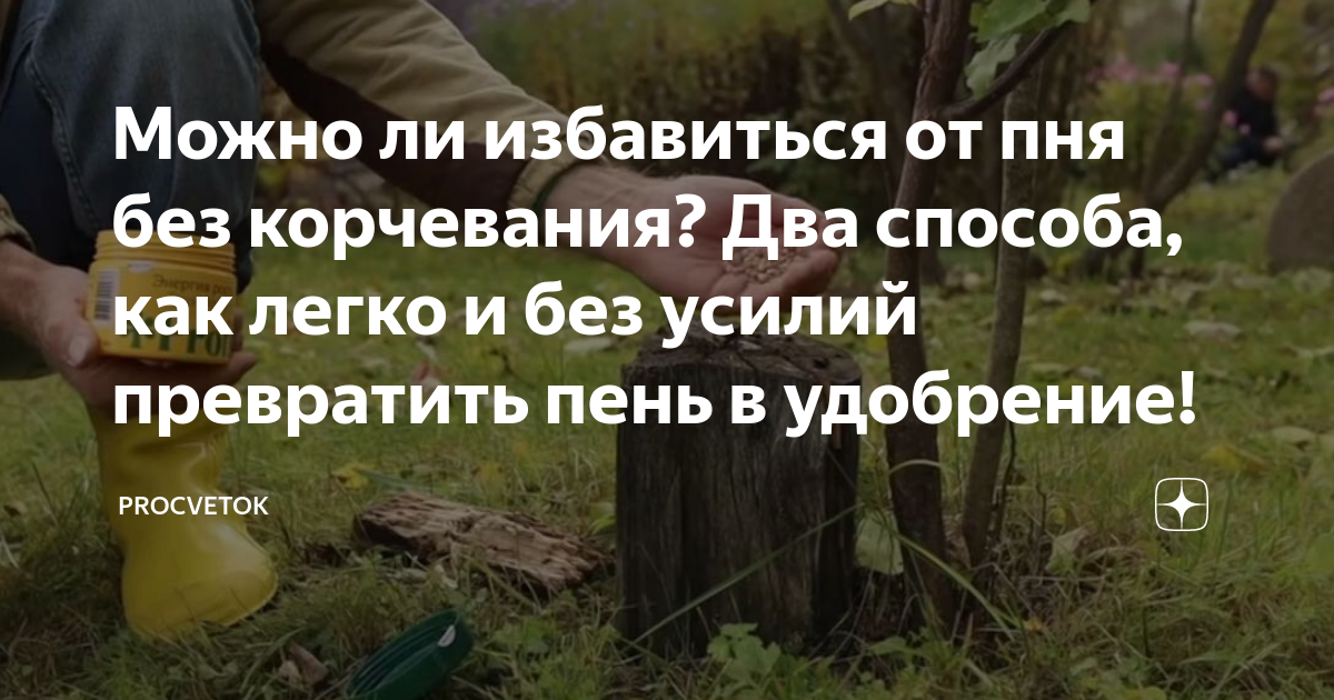 Можно ли избавиться от пня без корчевания? Два способа, как легко и без ...