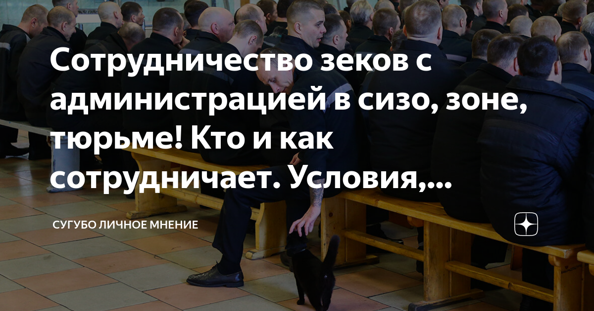 dzen.ru